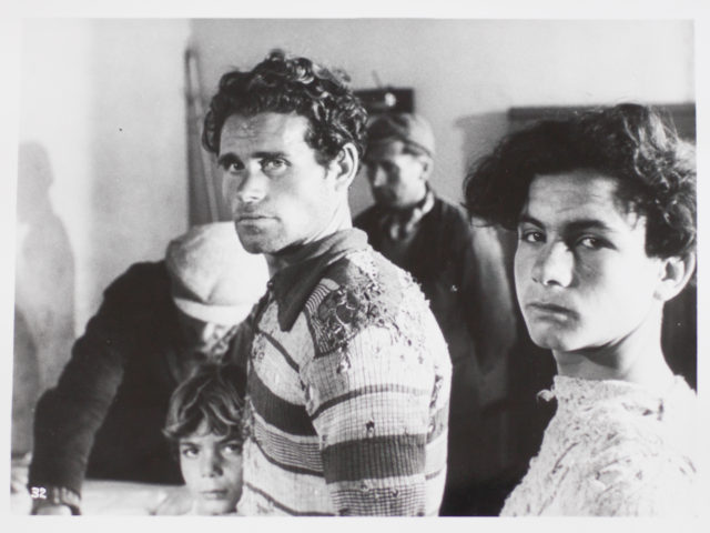 %e6%8f%ba%e3%82%8c%e3%82%8b%e5%a4%a7%e5%9c%b0