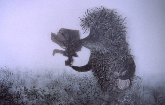 霧の中メイン写真